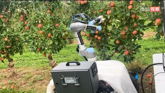 ���ٿƼ����߷ּ������