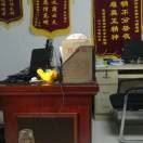 �¶�������